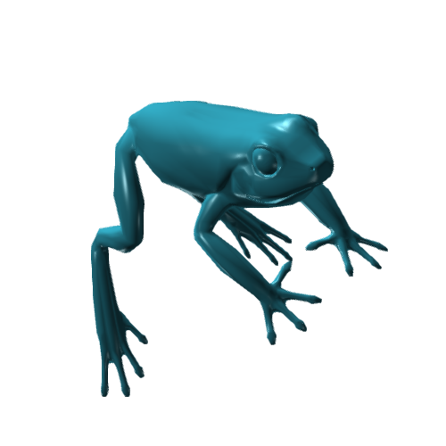 青蛙的模型