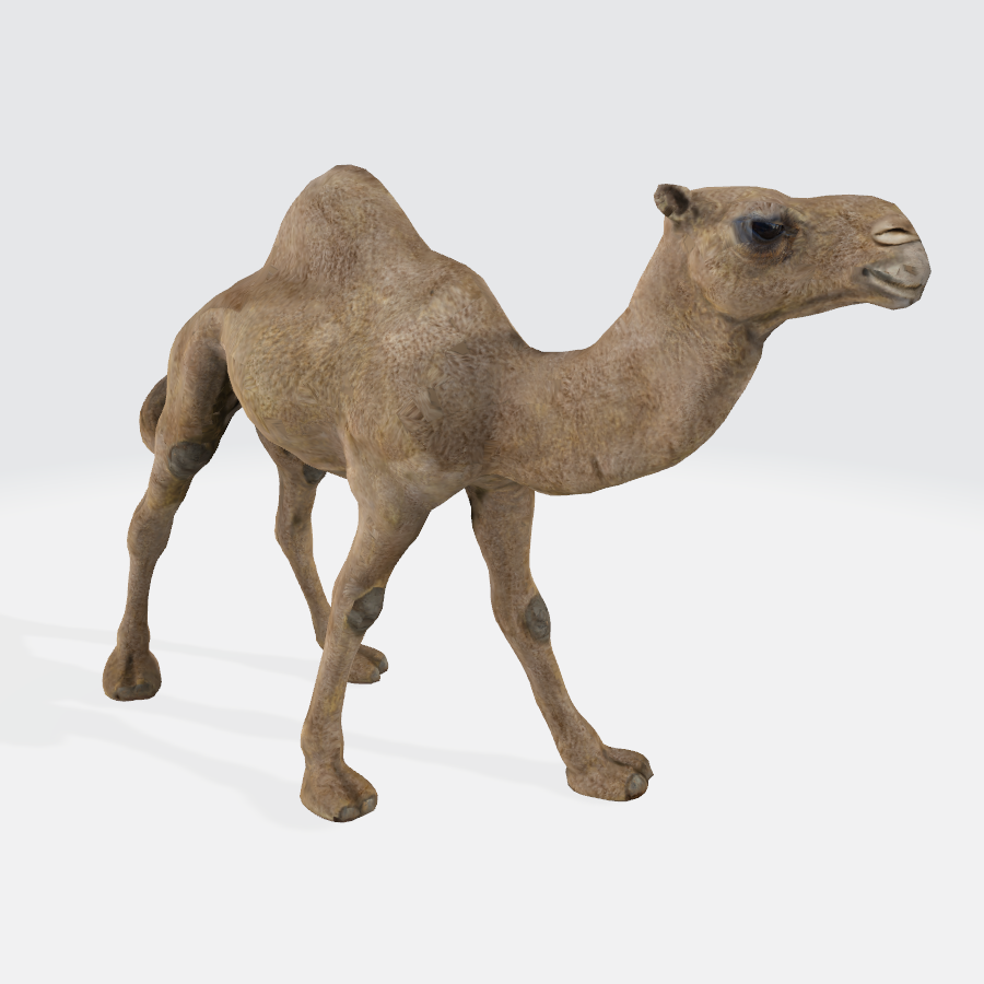 埃及雕塑骆驼