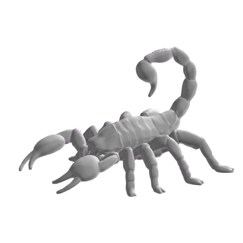 蝎子Scorpion_t