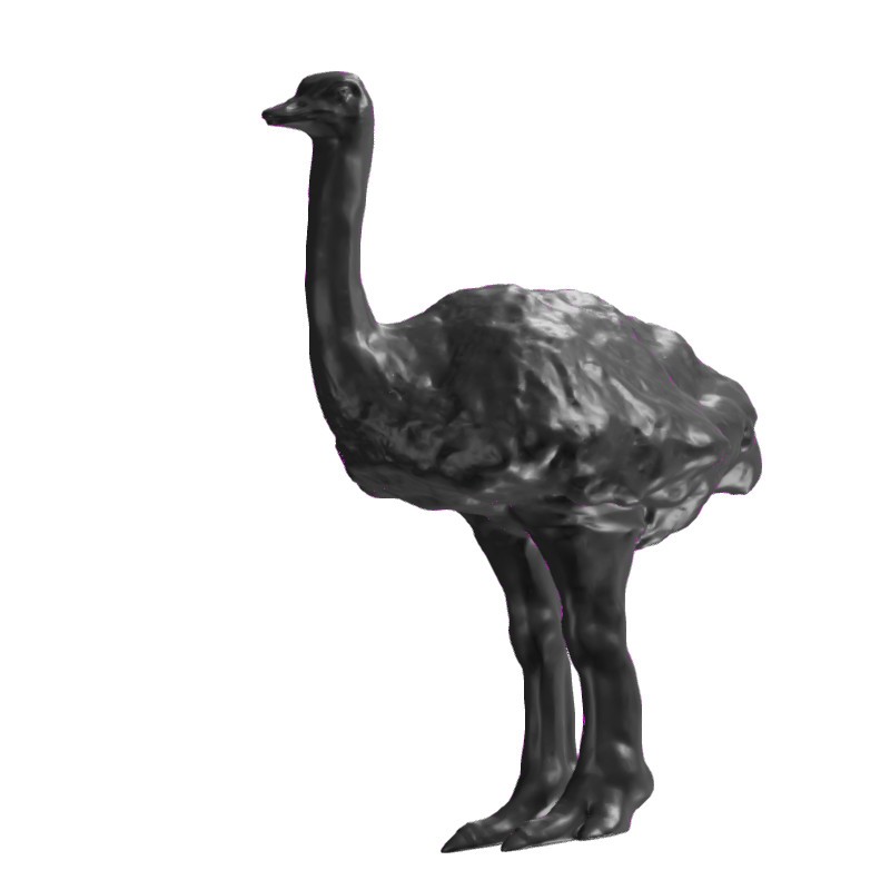 鸵鸟Ostrich_t